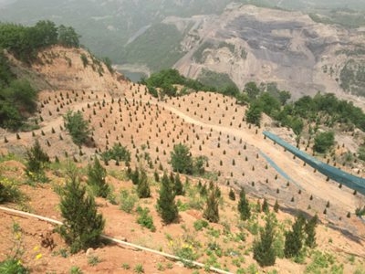 1497580339707182.jpg 1497580339707182.jpg