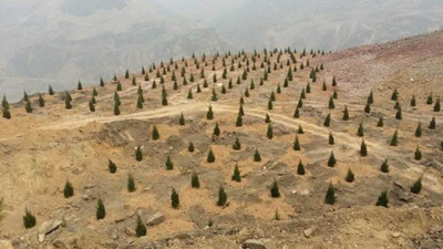 1497580346496108.jpg 1497580346496108.jpg