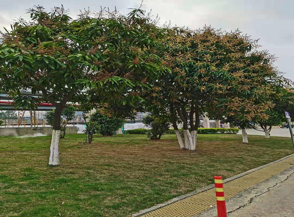 1617269776953689.jpg 2.jpg