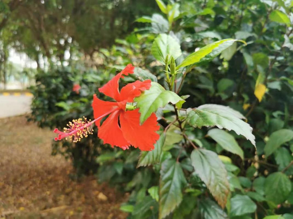 1617270828537659.jpg 13.jpg