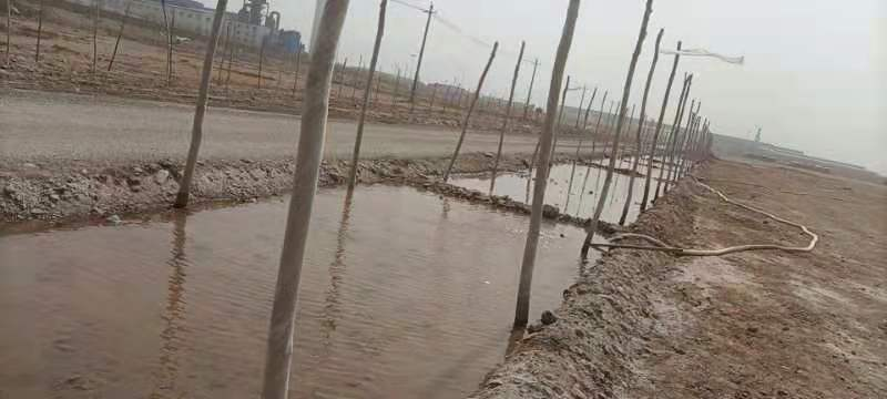 1617271426429194.png 28.png