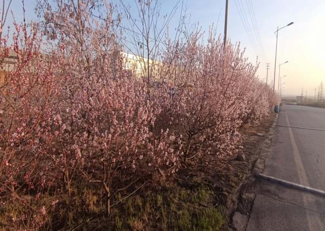 1617271631120033.png 31.png