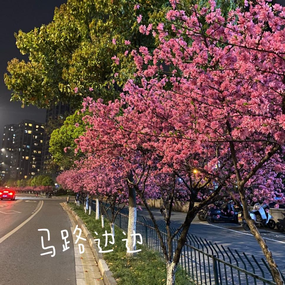 1617272641353934.png 55.png